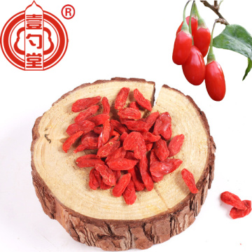 La frutta secca bacche di Goji frutta rossa