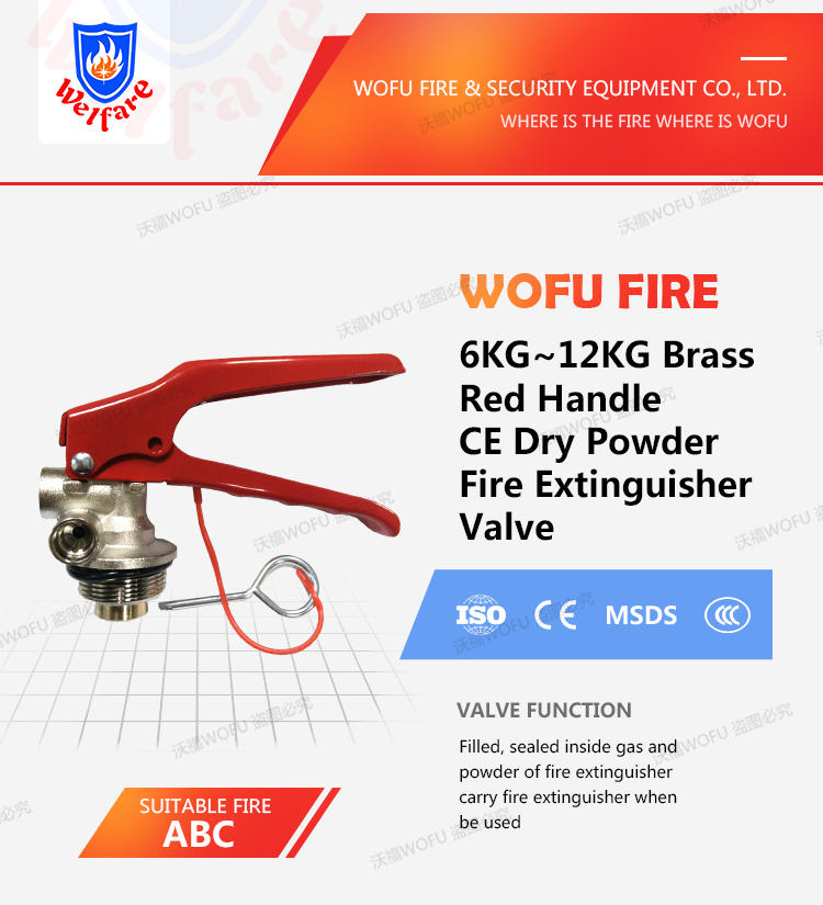 6KG to 10KG Dry Powder Fire Extinguisher Valve