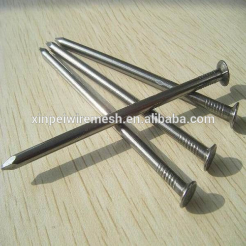 polished bright iron material common nail for construction factory (lowest price )