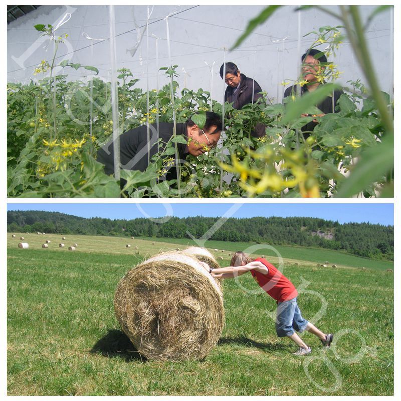 packing hay baler twine