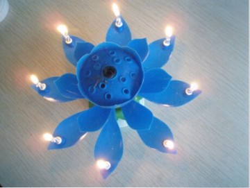 Flower Music Candle Cake Use Birthday Candle