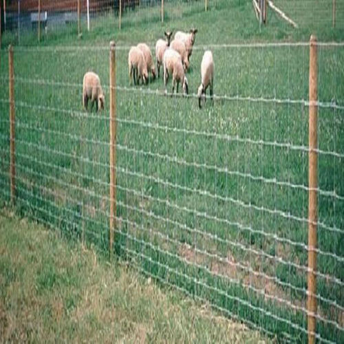 best selling cattle fence/cattle fence designs