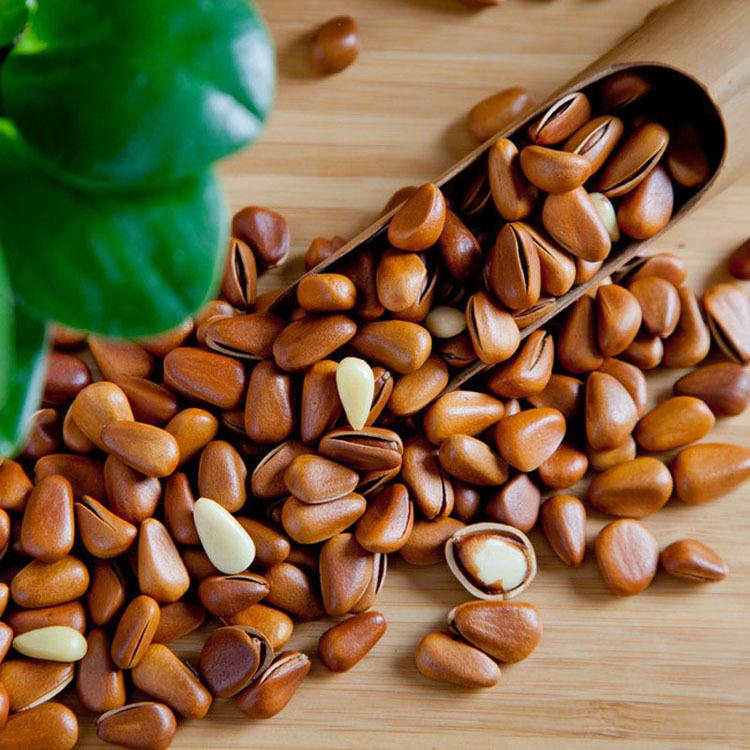 factory wholesale Organic Raw Chinese Pine Nuts