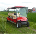 6 golf cart elettrici per passeggeri a batteria