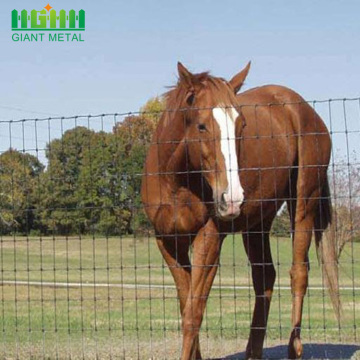 Cerca galvanizada del acoplamiento de alambre del caballo y de la granja de los ciervos