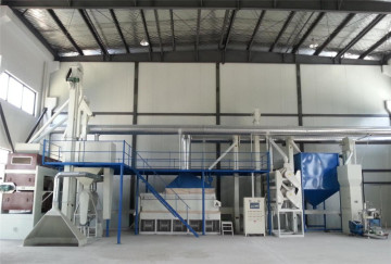 Grain Seeds Plant Line