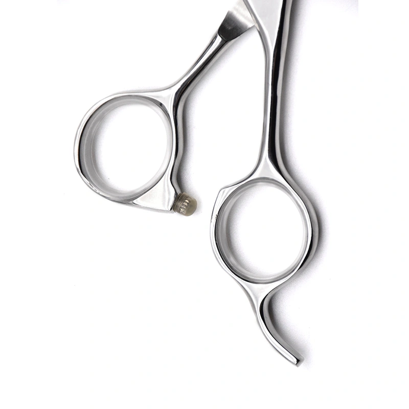 Hair Scissors for Professional Hair Cutting