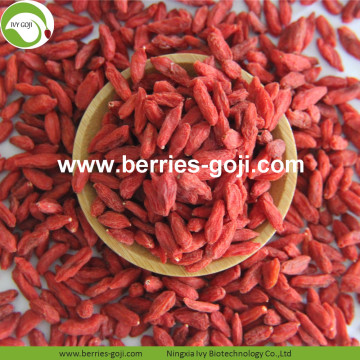 Factory Hot Sale Dried Himalayan Goji Berry