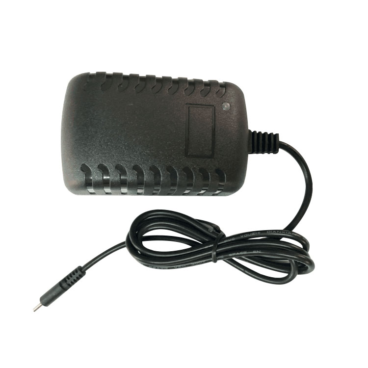 Wholesale Price 5V 3A Type c AC DC Adapter 