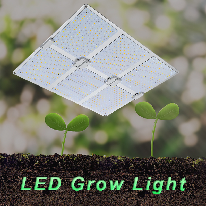 دفيئة مصنع LED تستخدم LED Grow Light