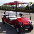 Carrello da golf elettrico con sedile fisso