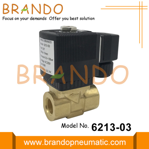 6213 A 10.0 3/8 &#39;&#39; Pirinç Solenoid Valf 230V