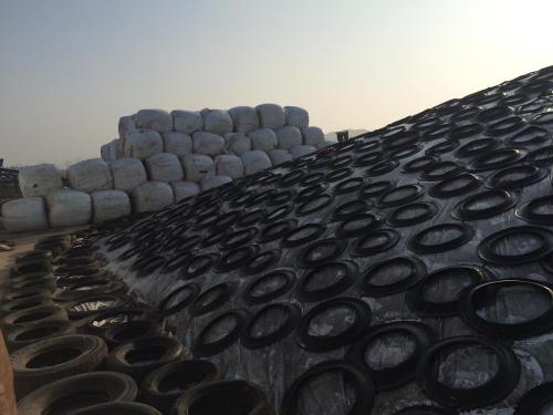 Silage Silo Cover for Dairy Farm