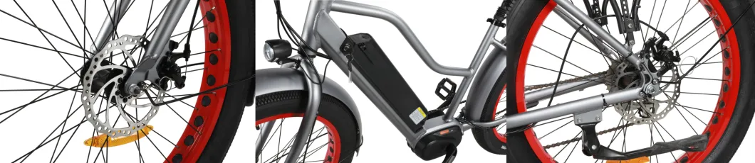 MID Motor Drive Mountain Electric Bike Pedal Assist