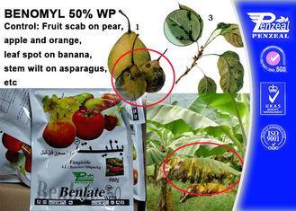 Off - White Powder Protectant Fungicides Benomyl 50% WP 178
