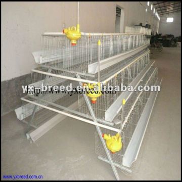 Hot sale poultry industry