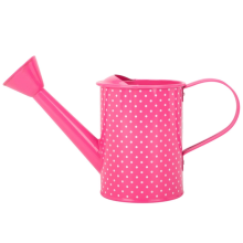 Watering Can with Polka dot pattern