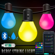 Amazon Top Seller 2022: New Arrival Remote Control Mini Cherry LED Lights for Christmas Tree