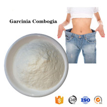 Factory price Garcinia Combogia Extract powder for sale