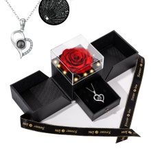 San Valentin and Mother's Day LED Red Eternal Rose Jewelry Box Gift Set with Necklace