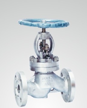 SS Globe Valve
