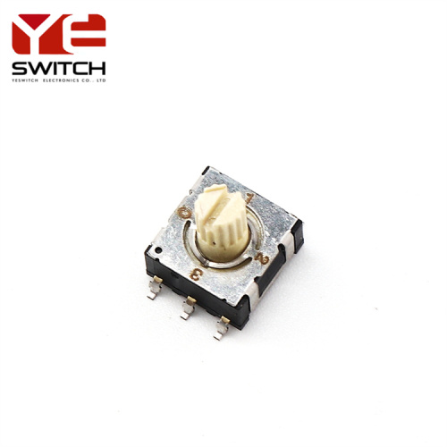 RH RV RM ROTATY CODE SWITCHES