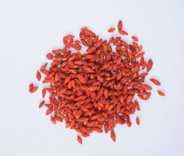 Chinese Dried Red Wolfberry Jinyuan