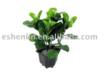 lucky artificial potted plant