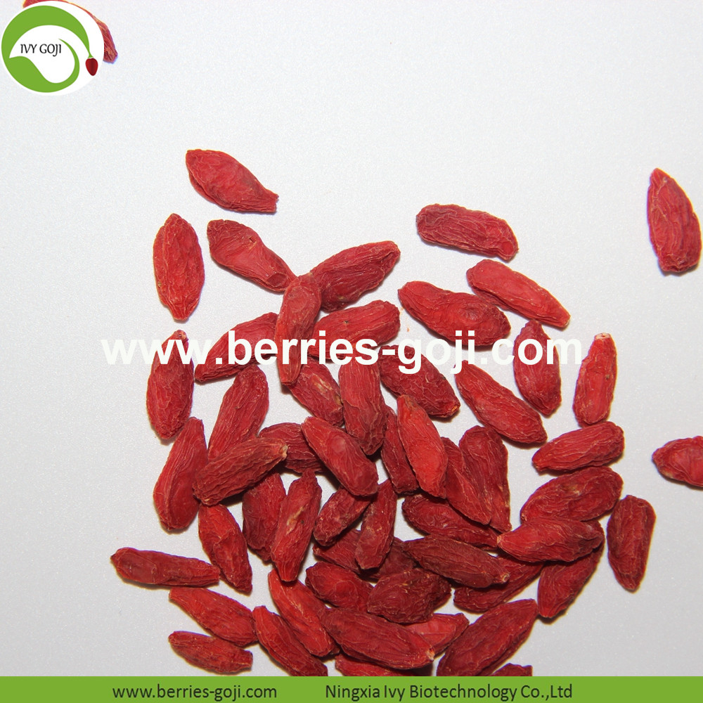 Goji Berry