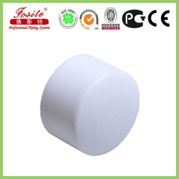 Plastic Pipe Cap/ PPR Pipe End Cap/PPR Pipe Cap