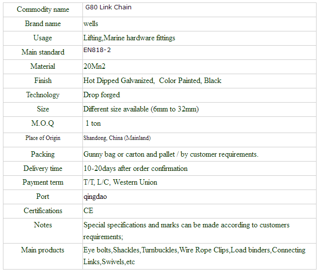 G80 lifting chain 