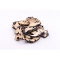 高品質のpolyporus umbellatus