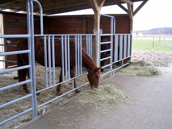 Horse Farm Popular Steel Carral Fence