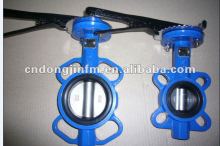 Lug type butterfly valve