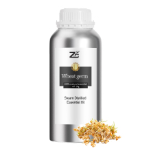 Wheat Germ Oil / Wheat Germ Oil / Wheat Germ Oil Price