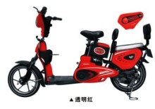 48V Lead-Acid Battery Electrice Bike (TDR332Z)