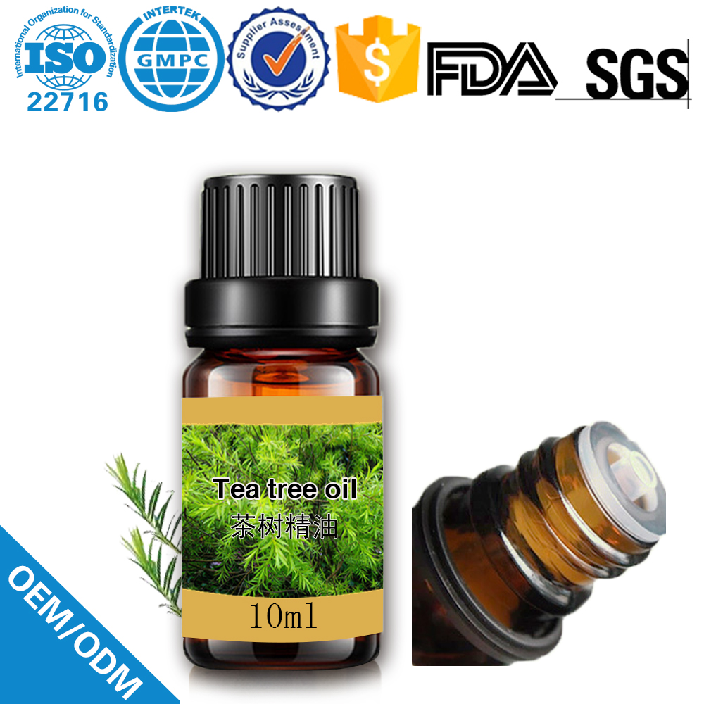 óleo essencial de óleo de tea tree 100% puro