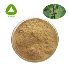 Saponine en poudre de graines d&#39;arbre à thé 30% -98%