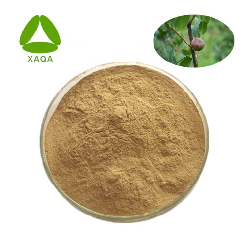 Saponine en poudre de graines d'arbre à thé 30% -98%