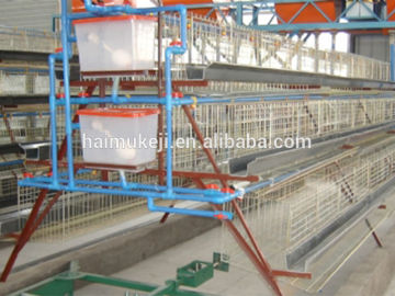 hot sale automatic watering system for poultry