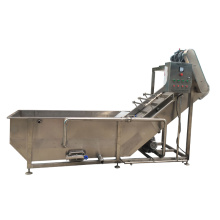 Vegetable Cleaning Machine: Air Bubble Washing System