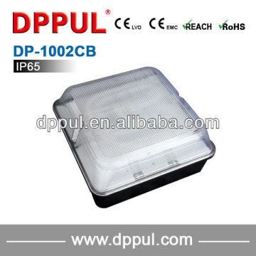 2016 Newest Rechargeable Ceiling Lighting DP1002CB