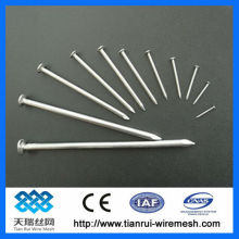 common round nails and steel nails,wire nails