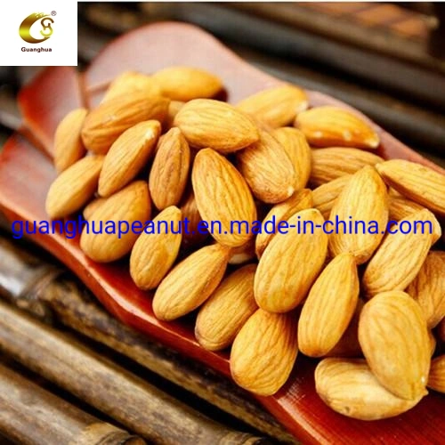 Wholesale Price Almond Kernel in Bulk