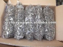 New black Block fungi with white back