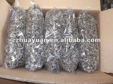 New black Block fungi with white back