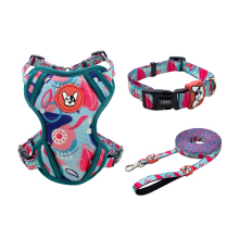 Custom Comfortable Outdoor Walking Mesh Dog Harness and Leash Set for Puppy