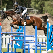 Used PVC Aluminum Horse Jumps for Sale - Western Show Jumping Equipment