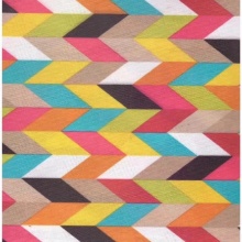 Water repellent polyester printed oxford fabric