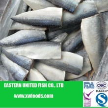 frozen mackerel